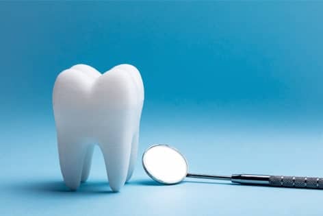 Tooth extraction tool beside a tooth model representing gentle tooth extraction treatment in South Austin, TX